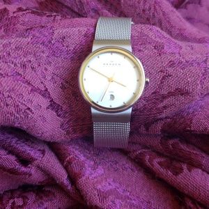 Skagen Womens Steel Mesh Watch